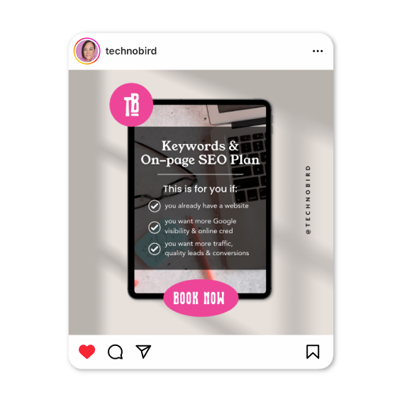 Media Avenue client Instagram digital product promo post design Techno Bird
